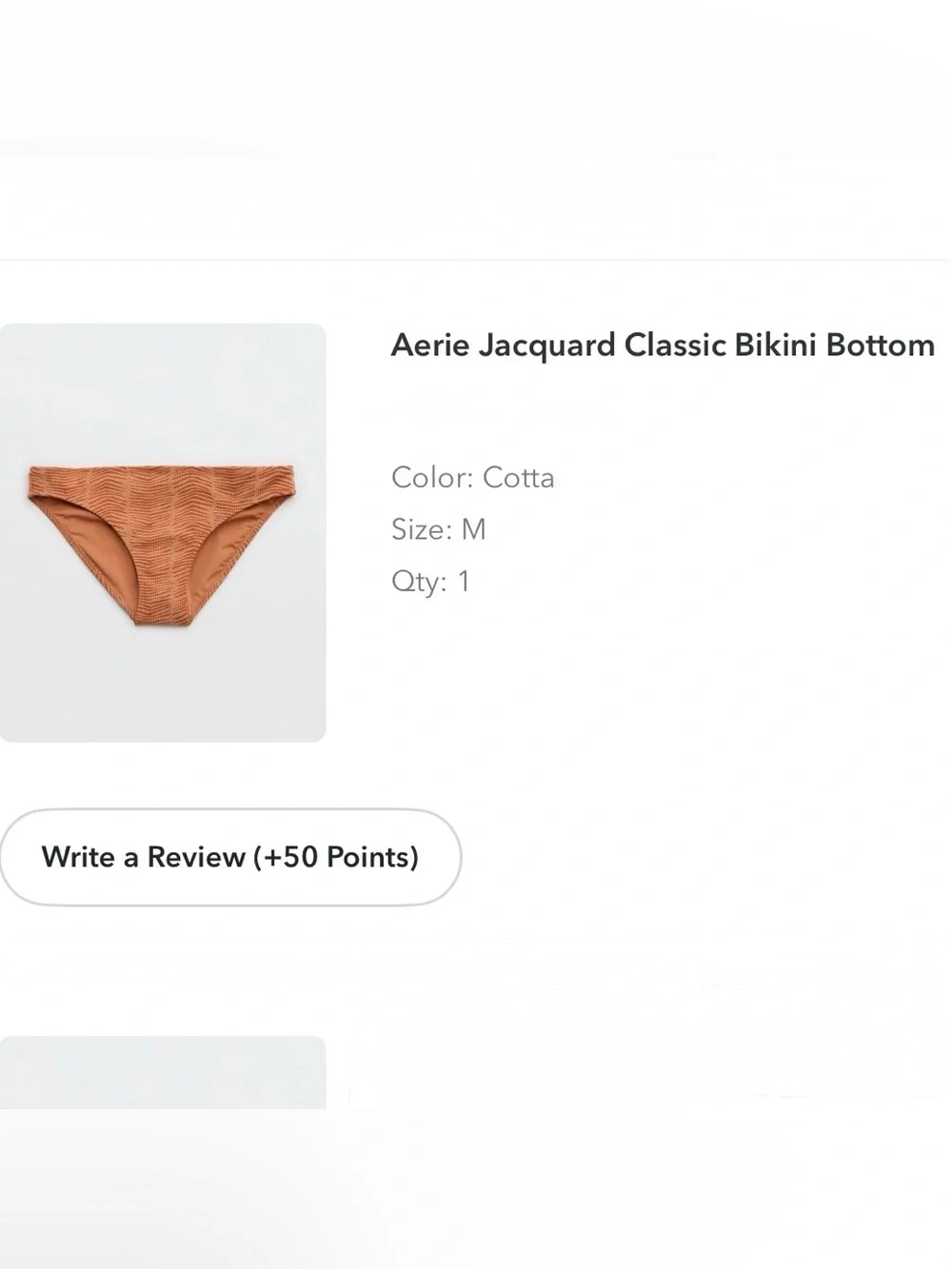 AERIE Burnt Orange Bikini Bottom